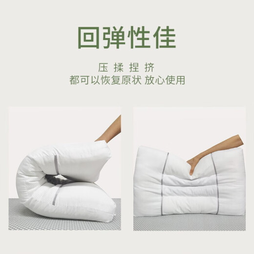 Ivy Cassia Seed Pillow Cervical Pillow Pillow Core Whole Head Student Dormitory Hotel Sleeping Pillow One Pack 45*70cm