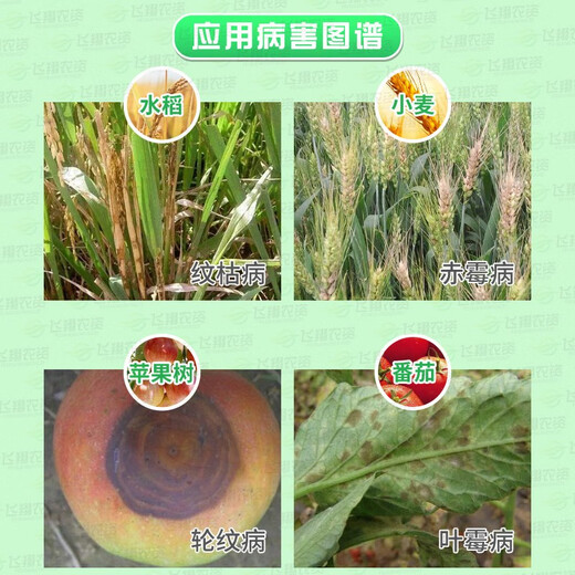 Rissao Methyl 70% thiophanate methyl thiophanate methyl apple ring sheath disease powdery mildew sheath blight fungicide 90g (quick delivery from stock)