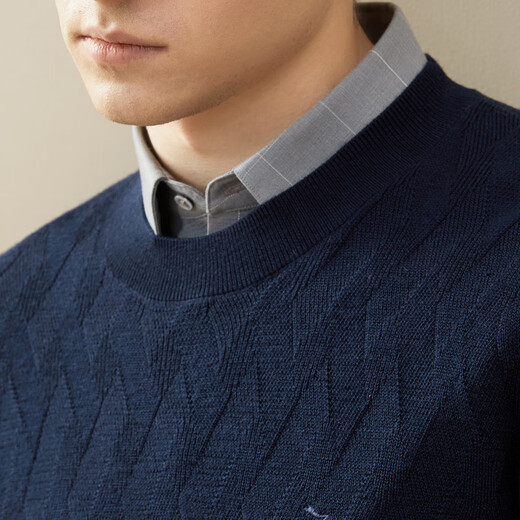 Qipai Men's Wool Sweater Spring and Summer Casual Versatile Round Neck Warm Sweater Pure Wool 1JY70070 Dark Blue S (160)