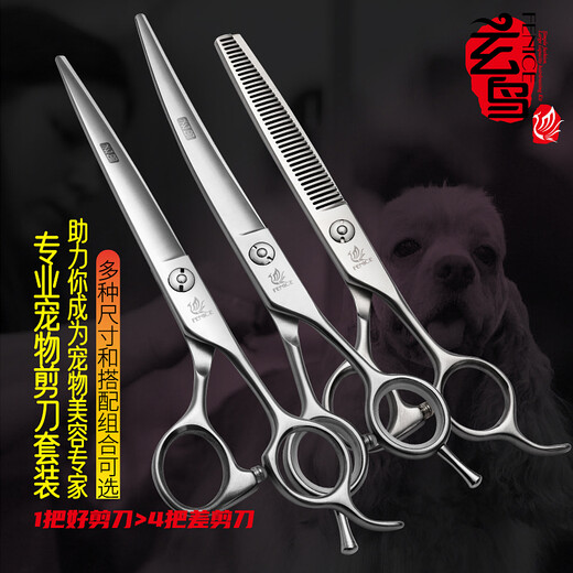 Black Bird Professional Pet Scissors Set Dog Hair Shearing Pet Grooming Tools Straight Cut Curved Scissors Teeth Scissors Teddy Bichon Grooming Small Dog 7 Straight + 6.5 Curved + 6.5 Teeth Novice