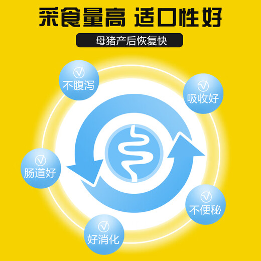 East China Zhengda 8% lactation and pregnancy gilt premix increases milk production, timely estrus, no constipation and fast recovery 8% gilts get 1 free for every 10 (issued 11 bags)
