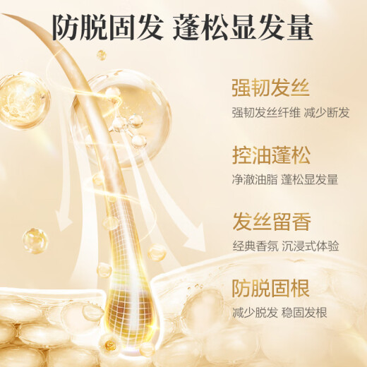 阿道夫防脱固发洗发水800g 控油蓬松 生姜强韧发根洗发露