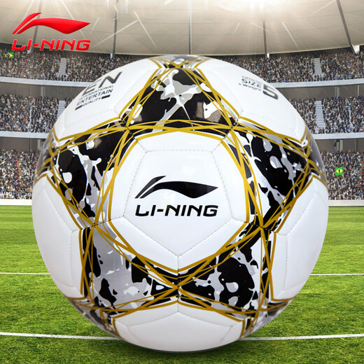 Li Ning Football No. 5 Adult Children and Youth Professional Competition Outdoor Training Sports High School Entrance Examination Ball No. 5/Standard White and Black Gold-671-1