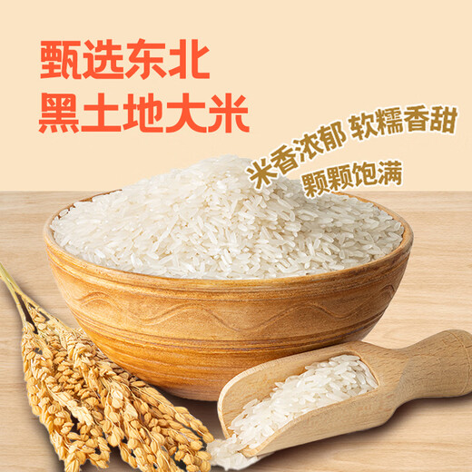 米达屋多口味饭团170g*5个+150g*1个速食早餐儿童方便食品微波即食