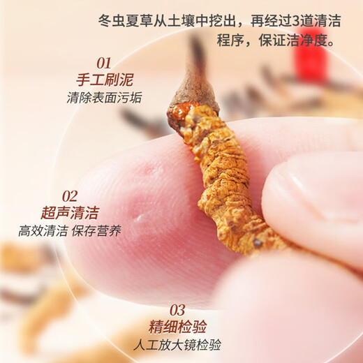 雷允上冬虫夏草 干货虫草手工精选送礼送长辈礼物滋补品 【自用款】虫草1g(约3~5根)