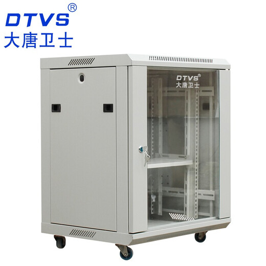 DTVS大唐卫士网络机柜42U服务器机柜19英寸标准网络1.2米2米机柜含增票 T1-5012 12U壁挂落地机柜0.7米高