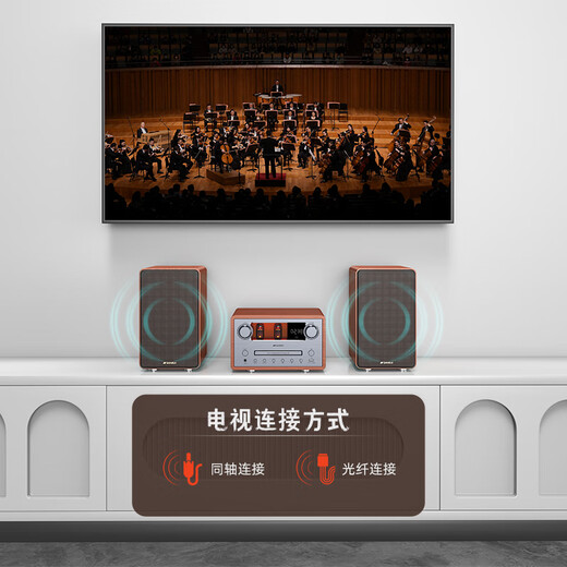 Shanshui N9 Cine en casa altavoz activo Hifi Bulb Machine Amplificador de audio combinado All-in One Wireless Bluetooth Subwoofer de alta calidad Desktop CD Player