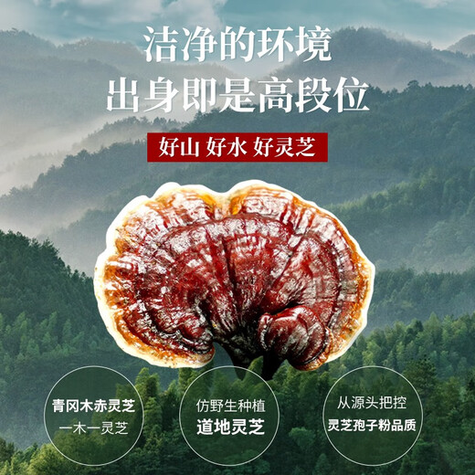 绿谷明珠多国有机认证破壁灵芝孢子粉增强免疫力礼盒孢子粉送父母2g/包*60 【60天量】双层滋补礼盒