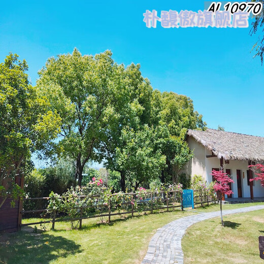 新直播背景视频直播间主播山水田园外景快手抖音网红背景布 11149 宽1.5米高2米