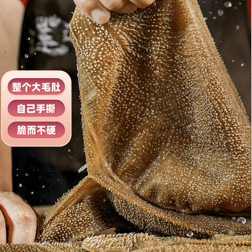 Shu Xiaomeng's fresh large slices of hairy tripe hot pot, black melaleuca, white melaleuca hot pot ingredients, yellow-throated maocai delicacies, fresh beef louver, the whole big tripe 5Jin Jin is equal to 0.5kg