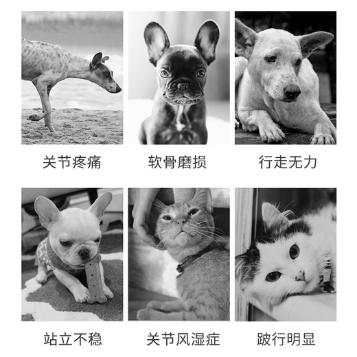 Runhua Nian Chong Lekang Joint Oral Liquid Guanten Concentrate Pet Relief Pain Patella Lameness White Box 1 Bottle