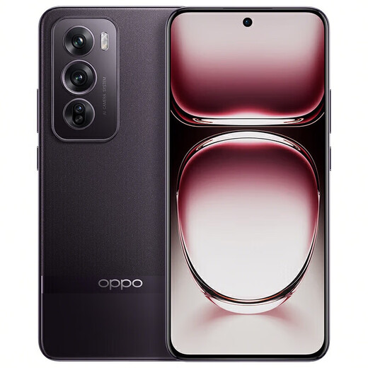 OPPOReno12 手机 超美小直屏 Reno12 Pro  安卓Live图 全网通5G双卡 Reno12 Pro 乌木黑 16GB+512GB 简配+店保一年+版本咨询客服