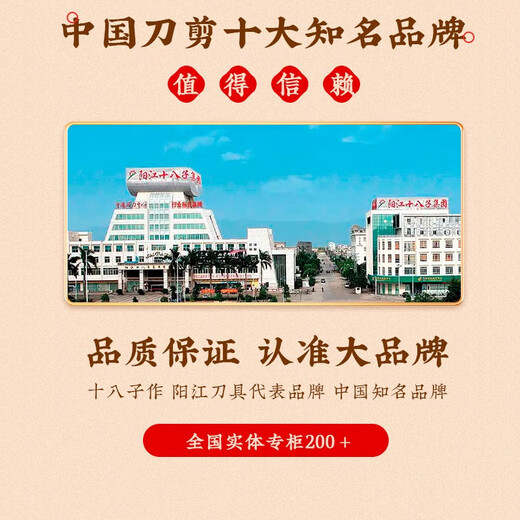 十八子作刀具套装家用刀具菜刀三件套菜板套装斩切刀切菜刀锅铲勺组合 庖丁组合套装+锅铲汤漏勺(热销款