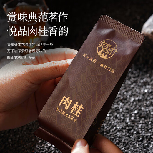 Wuyi Pu Cinnamon Wuyi Mountain Rock Tea Oolong Tea Geschenkbox mit extra Level 204G Neues Tee High-End-Festivalgeschenke für Älteste