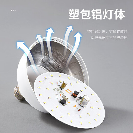 Foshan Lighting (FSL) LED energy-saving bulb T100 cylindrical bulb 30W white light 6500k large screw mouth E27 high-power property commercial factory lighting