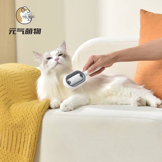 Yuanqi cute thing attraction pet cleaning and hair removal comb water tank cat comb no-wash wipes comb sticky hair comb remove floating hair comb brush with water tank long hair powder (200ml essence + 100 pumps