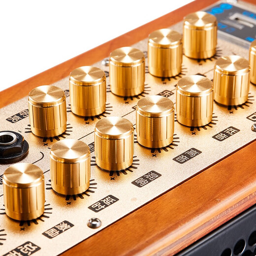 MIGAO MG-T3 outdoor charging erhu saxophone electric wind instrument audio guitar playing and singing internal recording live broadcast speaker package 2 audio + 2 U-segment microphones + bag + stand