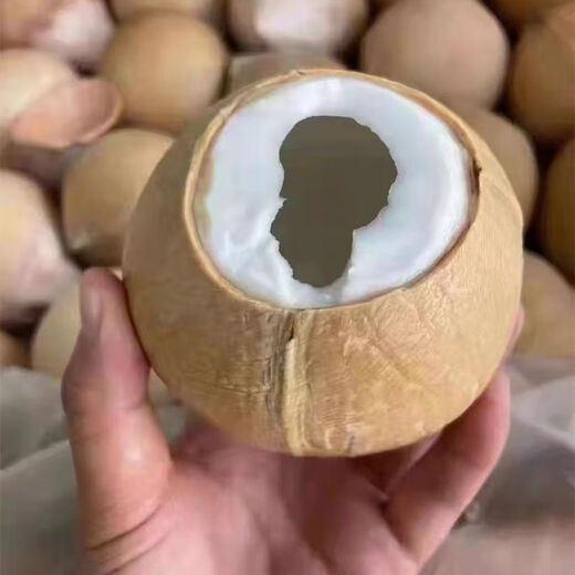 SF Thai Coconut King, freshly imported coconuts, fresh seasonal fruits, 5 pieces, each about 400g