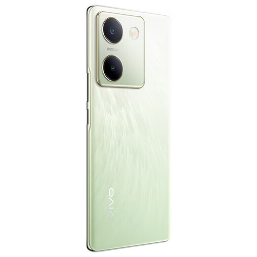 vivo X100 蓝晶×天玑9300 蓝海电池 蔡司长焦 120W双芯闪充 新品5G拍照全网通手机 琉云青丨Y100（骁龙695） 12GB+512GB