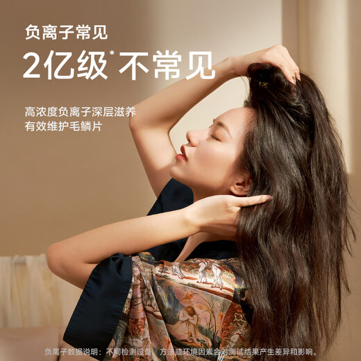 Laifen high-speed hair dryer, quick-drying household hair dryer, negative ion hair care, low-noise hair dryer, birthday gift, national subsidy, LF03 gold powder