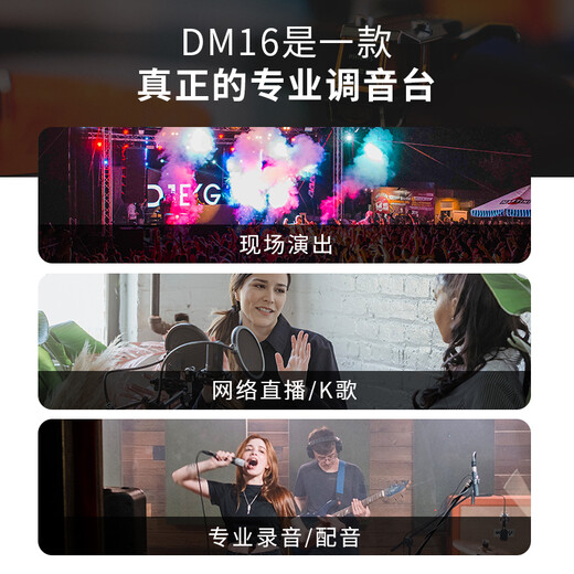 Behringer MIDAS/Midas DM12 DM16 analog sound reinforcement mixer 12-way professional recording stage performance band DM12