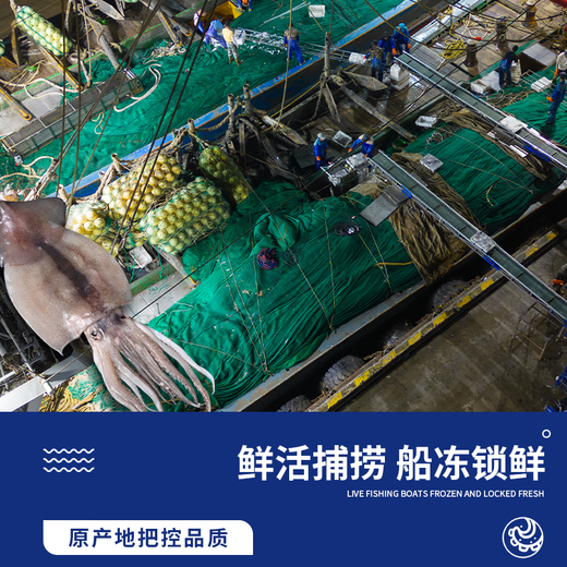 Haidingji fresh cut squid tentacles net weight 900g seafood barbecue hot pot squid 300g/pack*3 pack