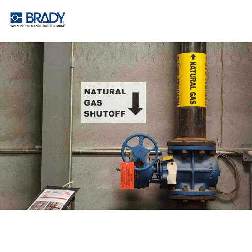 贝迪 BRADY BBP85标签打印机 8英寸 B-595 管道标识 设备标识 户内/户外胶带 13561 紫色