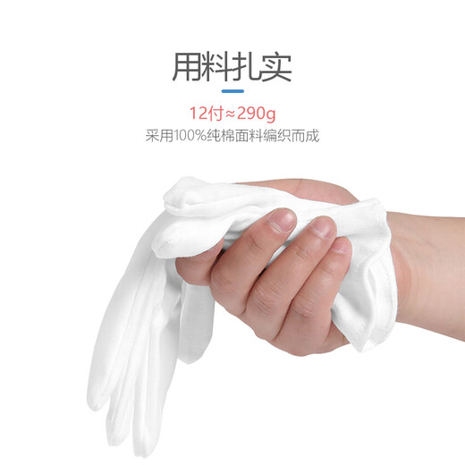 星工（XINGGONG）白手套礼仪透气纯棉劳保礼仪手套12付加厚 XGS-P5