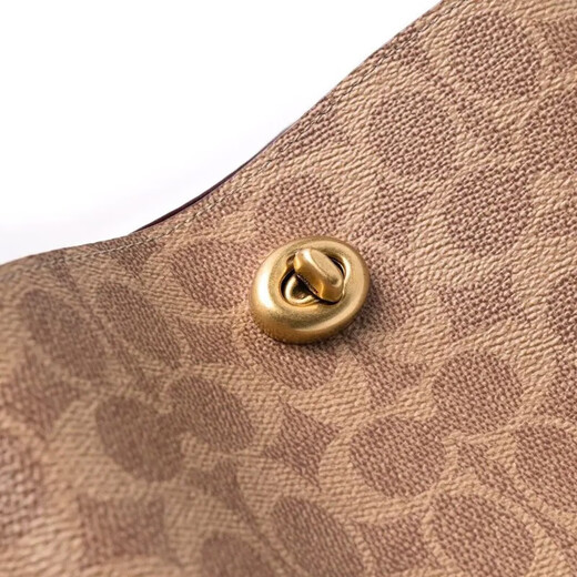 Entrenador (entrenador) Bolso de mujeres, bolso de mochila de bucket de sauce de estilo femenino, bolso de cuerpo cruzado de un solo hombro de moda, regalo de cumpleaños para novia, marrón C3890 B4NQ4