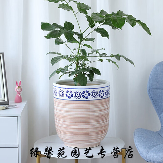 陶瓷北欧花盆蝴蝶兰绿萝加厚简约大号落地创意拉丝圈绿植盆栽章 694绿结晶 特大