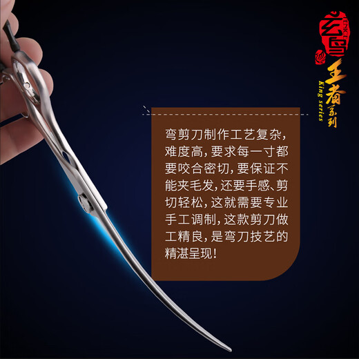 Black Bird Master Pet Scissors Professional Pet Grooming Scissors Set Straight Curved Scissors Fish Bone Scissors Dental Scissors Beautician Shop Tools BS 6.75 Inch Comprehensive Small Bend