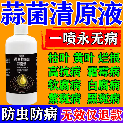 Garlic bacteria clear original solution garlic special medicine dry tip yellow leaf root rot leaf blight leaf blight rust purple spot biofertilizer agent one bottle of garlic bacteria clear
