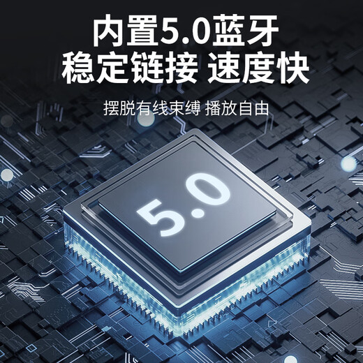 Newman N519 12-inch high-power subwoofer square dance audio mobile home outdoor karaoke Bluetooth trolley portable speaker amplifier dual microphone with adapter