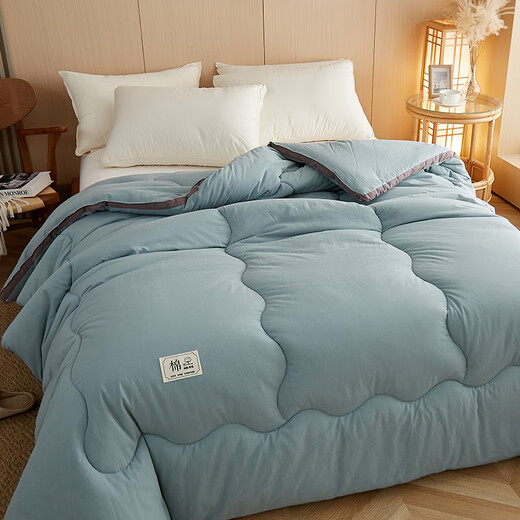 Jie Liya GRACE high-luxury A-type washed cotton quilt core Jie Liya GRACE high-luxury A-type washed cotton quilt core