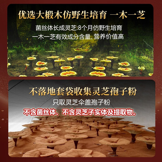Yuanshengtai Gao Triterpene Ganoderma lucidum spore oil soft capsule Red Ganoderma lucidum spore powder essence Nutritional supplements and health products for middle-aged and elderly people 24 capsules*5 boxes (30 days)