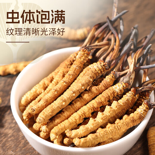 
Yuanjiang grass Cordyceps Cordyceps King 2-3 roots/g10g 25~30 roots Cordyceps gift box for elders and parents