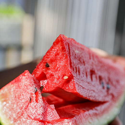 Shouhe fruit seeds early spring ruby gift watermelon 2k small watermelon thin skin sweet spring planting balcony potted spring and autumn early spring ruby watermelon seeds 60 capsules/70% of the candidates