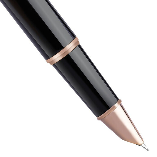 Picasso (pimio) fountain pen gift box T719 calligraphy pen male and female pen student business office writing practice wording gift gift ink pen set free lettering Black double pen nib (0.38mm+0.5mm)