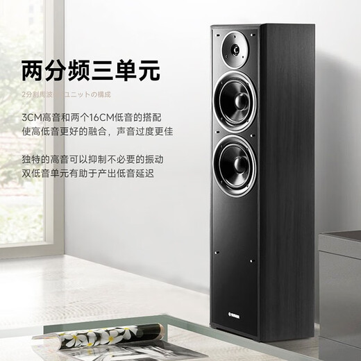 Yamaha NS-F71 Home KTV Audio Karaoke-Maschine Home K-Song Integrated High Power Bluetooth Verstärker Boden