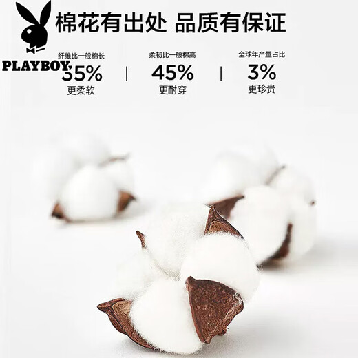 Playboy, mittleren und älteren Männer reine Baumwolldaddy Herbstkleidung, langärmeliges T-Shirt mittleren Alters, Herren-Frühlings- und Herbst-Basis-Hemd, Opa, 1301 hell Blumengrau + Khaki Green 2xl