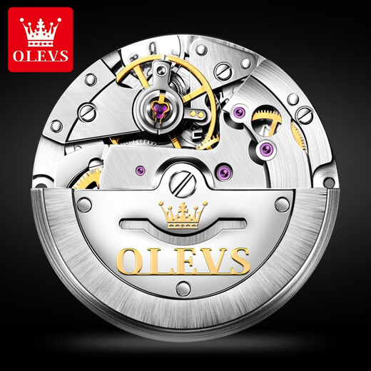 欧利时（OLEVS）瑞士认证品牌手表男机械表夜光防水全自动男士手表商务父亲节礼物 OLEVS-6630-钢带间蓝