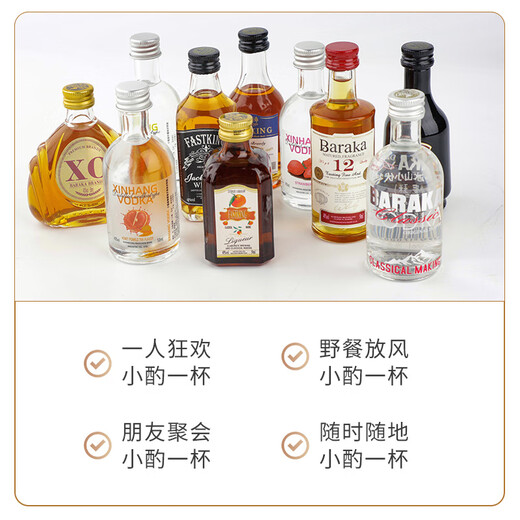 莎堡皇（FAST.KING）便利店调酒迷你酒小瓶酒威士忌礼盒装洋酒组合套装酒小酒版利口酒 黑朗姆50ml