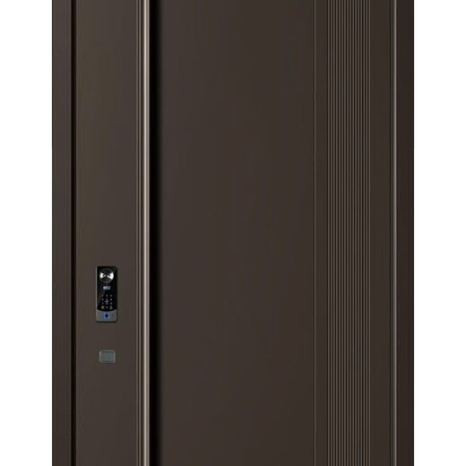 帝卡西DKX-流光溢彩2050*960防盗门安全门入户门智能门轻奢户门