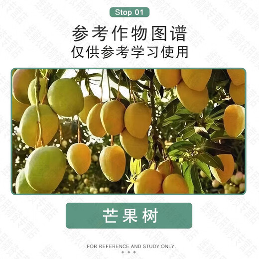 Guoguang Zhenkongfu 25% paclobutrazol suspension fruit tree shoot control chlormequat plant growth regulator 1000g* 1000g*1 bottle