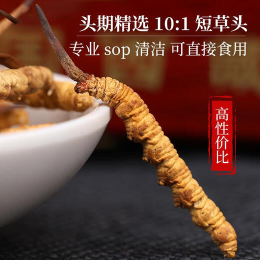 色季拉 冬虫夏草新干虫草滋补送礼佳品礼盒装 3根/g【10克装】