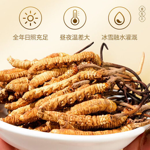 3.5 Wild Cordyceps Sinensis на Lei Yunshang/G 20G Около 70 Cordyceps Sinensis Высококачественный подарочный ящик для лидеров