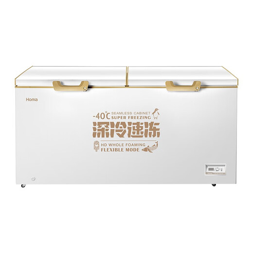 Homa 508 liter commercial refrigerator freezer computer temperature controlled large capacity horizontal freezer BC/BD-508EMBF deep cold brown