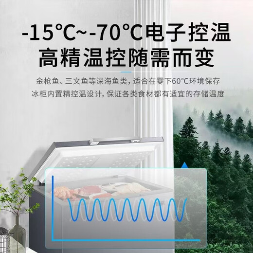 Midea 201 liters 301 liters freezer commercial large capacity ultra-low temperature freezer minus -60 degrees -70 degrees energy saving electronic temperature control cryogenic quick freezing freezer refrigerator stainless steel liner computer temperature control -70 exclusive for high-end ingredients 201 liters