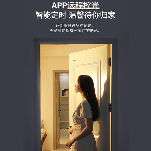 雷士（NVC）led高显智能吸顶灯俏影客厅大灯卧室餐厅灯全屋灯饰灯具套餐 54W 15㎡内适用 3532lm 智能方灯
