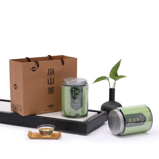 凤山安溪铁观音2025新茶清香型兰花香罐装简装乌龙茶250g